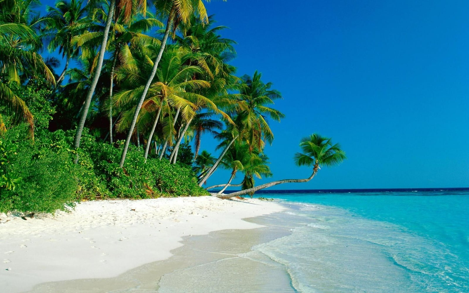 Exploring the 5 Most Beautiful Beaches Worldwide: Dive into Paradise